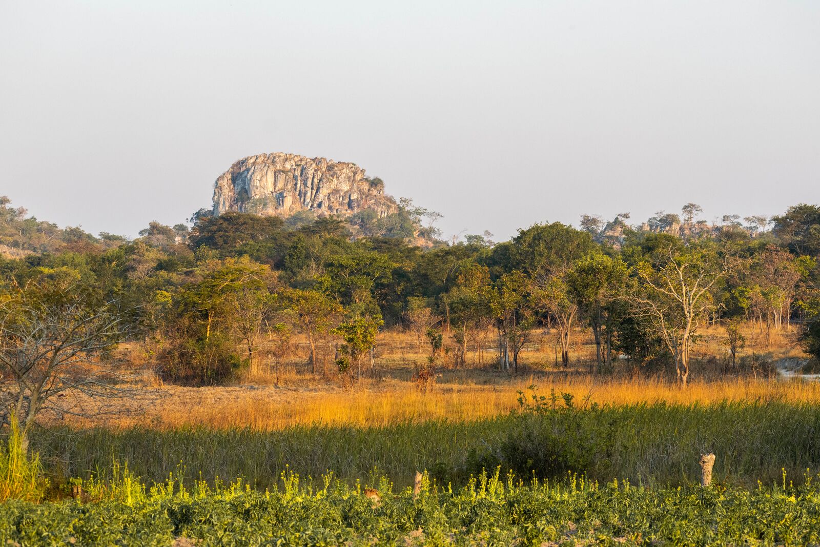 Kashitu Hill rising above the bush