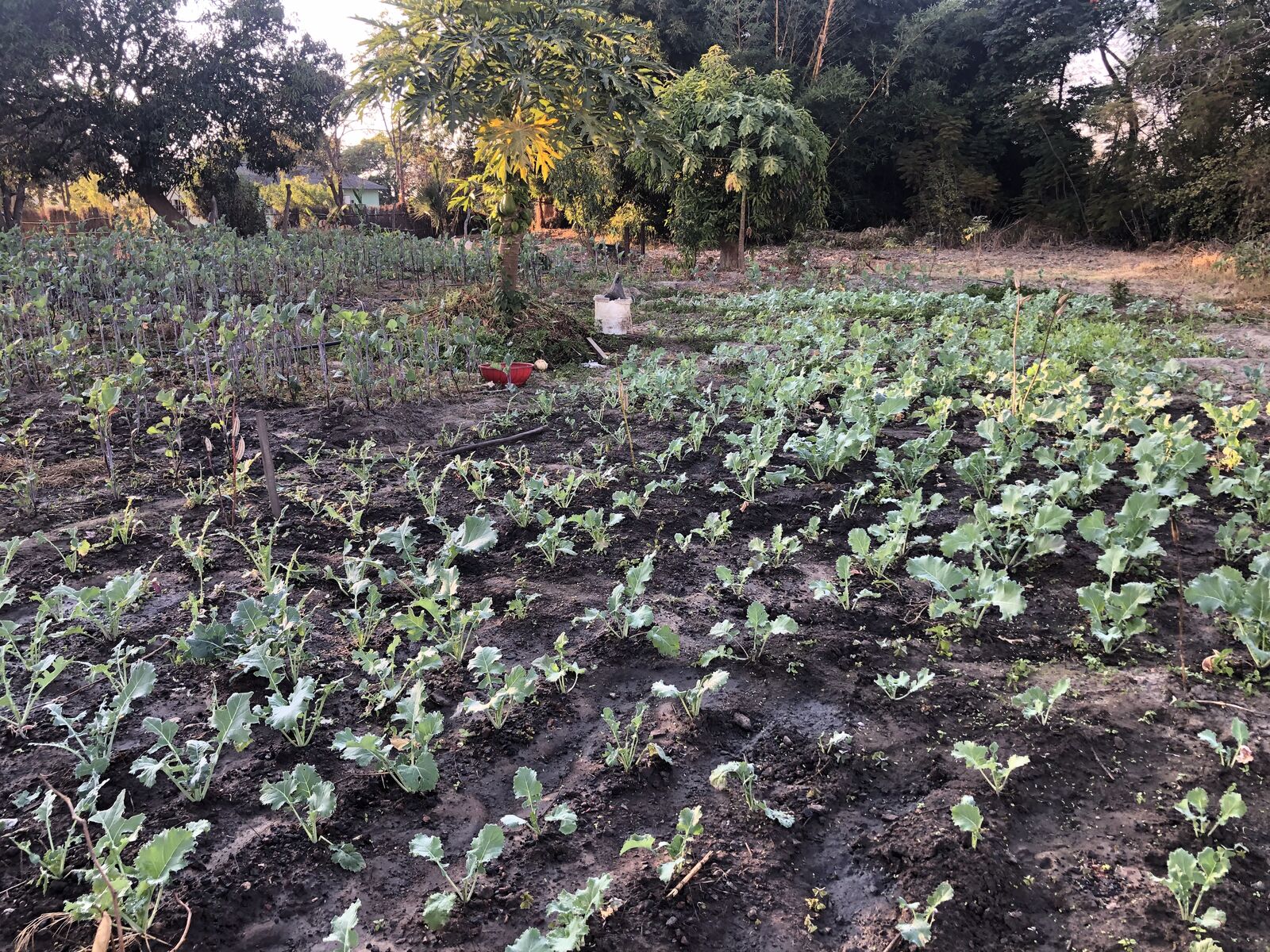 Empowering farming